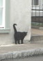 P1080806 Black cat, upper town, Quebec