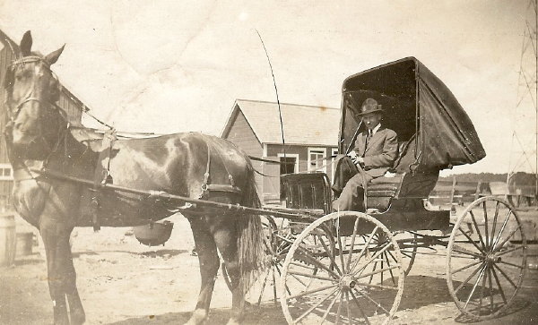 005 Werner Dahlheimer in buggy, 1917