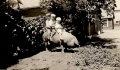 040 Dahlheimer boys - George, Harvey and Howard on a pig, 1932